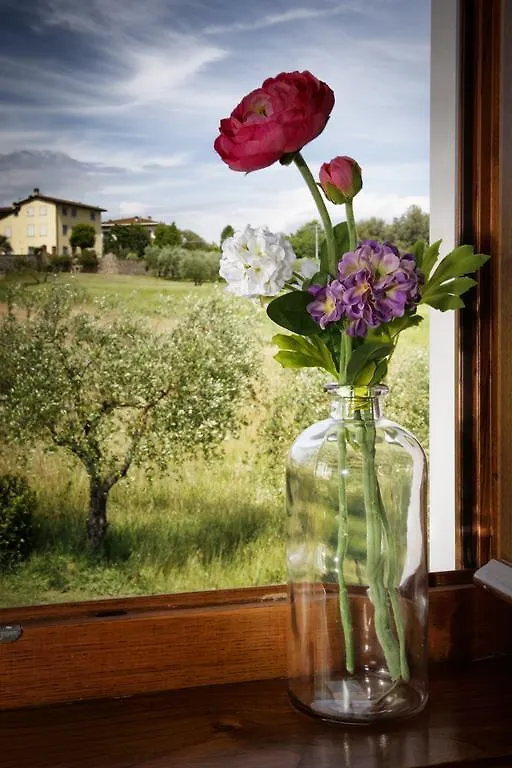 Agriturismo Ai Linchi Лукка 0*,  Италия
